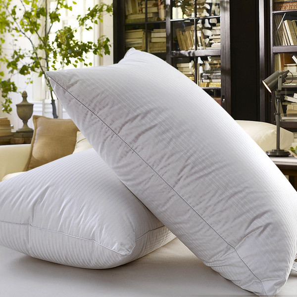 goose-feather-decorative-pillow